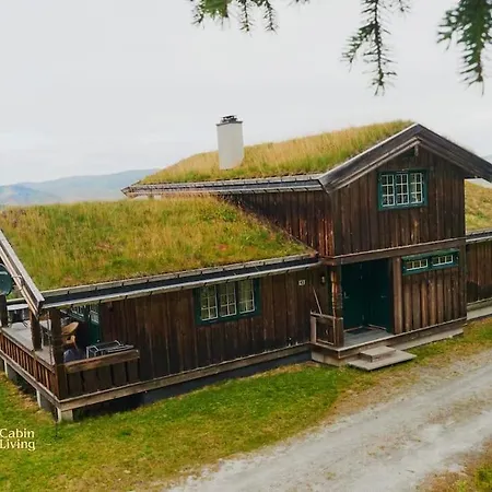 Large At Nesfjellet With Lovely View, Inddor Jacuzzi & Sauna *