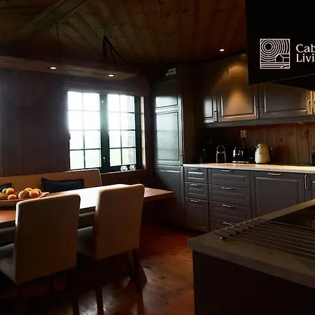 Large At Nesfjellet With Lovely View, Inddor Jacuzzi & Sauna Nesbyen