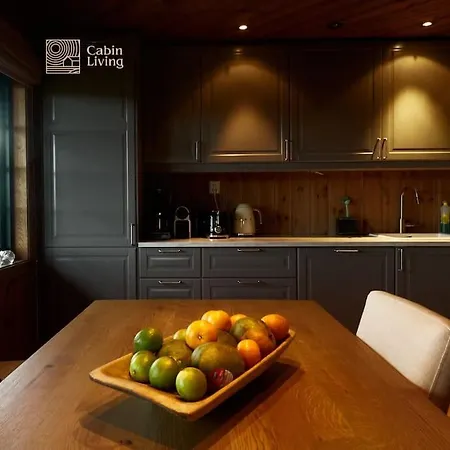 Large At Nesfjellet With Lovely View, Inddor Jacuzzi & Sauna Nesbyen