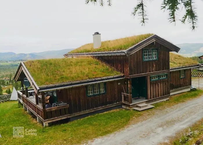 Large At Nesfjellet With Lovely View, Inddor Jacuzzi & Sauna *